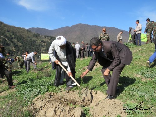کاشت درخت توسط معاون فرماندار و مسئولین ادارات شهرستان در روز درختکاری