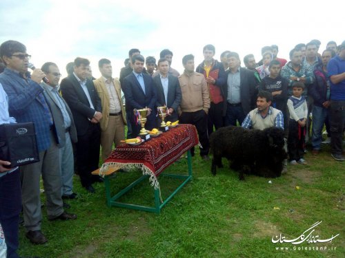 فینال فوتبال جام دهیاریهای روستاهای شرق استان در کلاله به پایان رسید