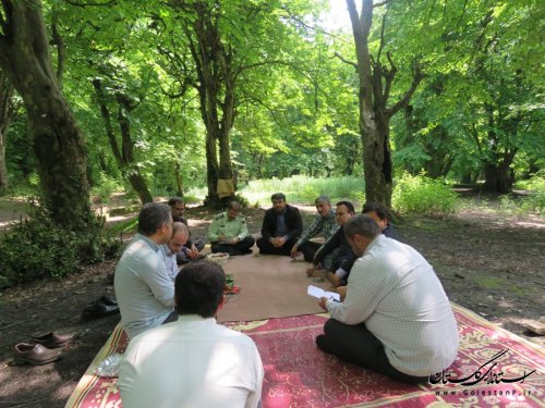 جشنواره توت فرنگی در روستای شفیع آباد رامیان برگزار خواهد شد