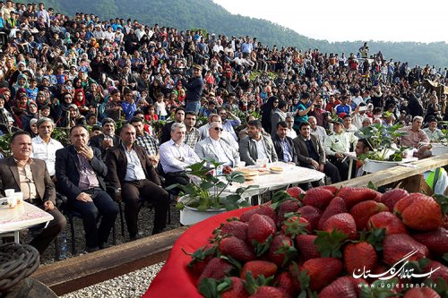 پنجمین جشنواره توت فرنگی در روستای شفیع آباد برگزار شد
