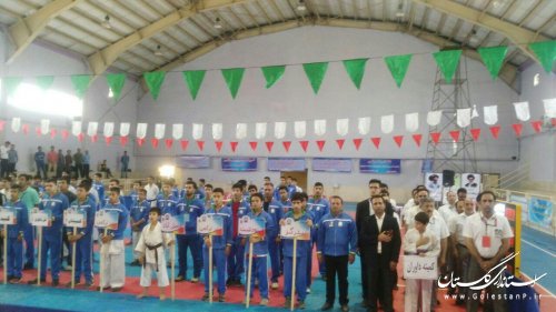 اولین دوره مسابقات المپیاد کاراته استان به میزبانی شهر فاضل آباد برگزار گردید