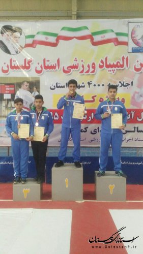 اولین دوره مسابقات المپیاد کاراته استان به میزبانی شهر فاضل آباد برگزار گردید