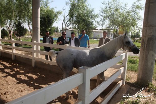 بازدید از پروژه گردشگری مرکز تفریحات و سرگرمی اسب طبیعت گرگان