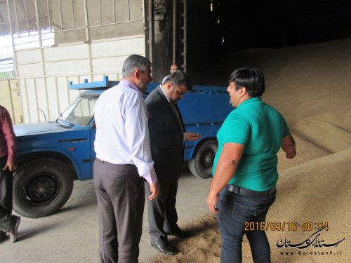 بازدید فرماندار رامیان از مراکز خرید گندم در شهرستان
