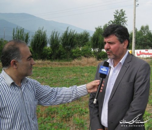 کشت 30 درصد از مزارع سویای استان گلستان به روش خاک ورزی حفاظتی