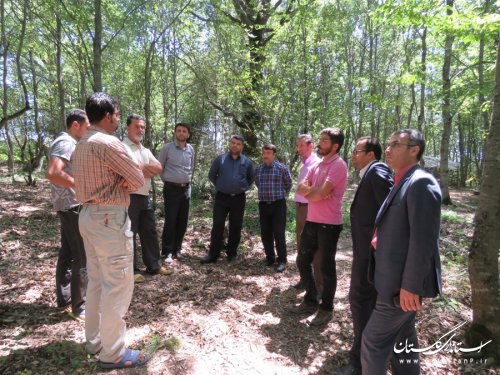بازدید فرماندار و مدیرکل میراث فرهنگی از منطقه گردشگری سرسو رضی