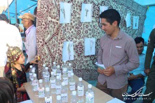 برگزاری دومین جشنواره پسته در روستای قازانقایه شهرستان مراوه تپه
