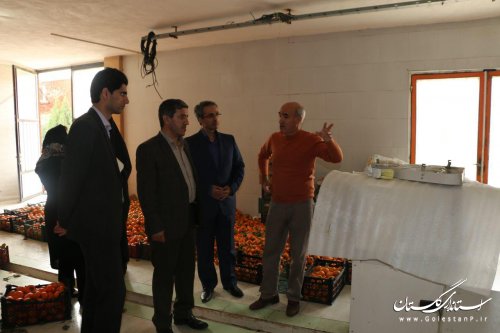 بازدید مدیرکل آموزش فنی وحرفه ای استان از کارخانه تانسو در شهرک صنعتی آزادشهر