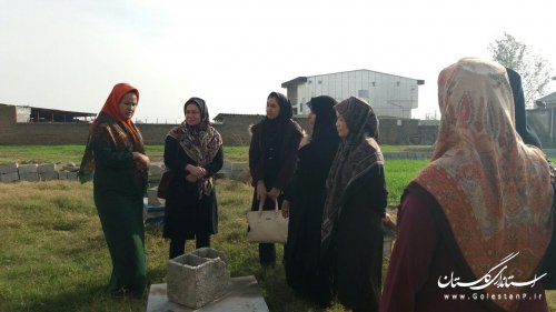 بازدید مدیر کل امور بانوان و خانواده از طرح های مشاغل خانگی شهرستان ترکمن