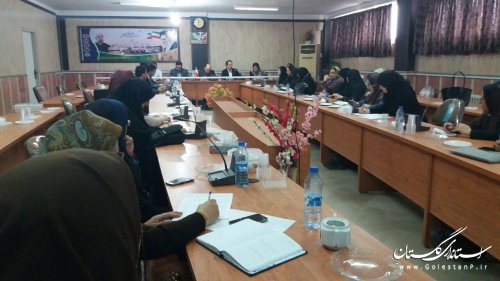 برگزاری جلسه کارگروه امور بانوان و خانواده شهرستان ترکمن
