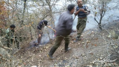 آتش در جنگلهای رامیان مهار شده است