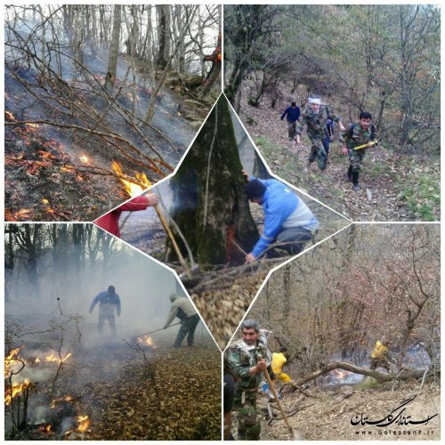 آتش در اکثر مناطق جنگلی استان اطفاء شده است