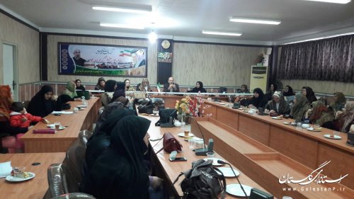 برگزاری کارگاه آموزشی تعادل کار و زندگی برای بانوان شهرستان ترکمن