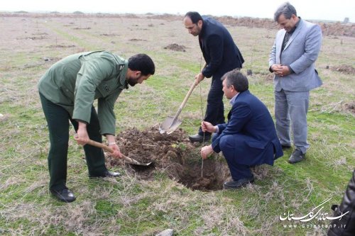 بازدید فرماندار  آق قلا از آخرین وضعیت پارک جنگلی و بوستان 4 هزار شهید