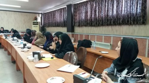 برگزاری جلسه کارگروه امور بانوان و خانواده شهرستان ترکمن