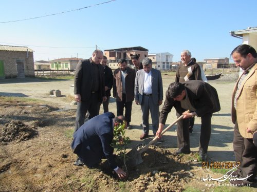 کاشت نهال مثمر در روستاهای شهرستان گمیشان بعنوان پایلوت در استان گلستان