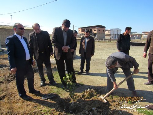 کاشت نهال مثمر در روستاهای شهرستان گمیشان بعنوان پایلوت در استان گلستان