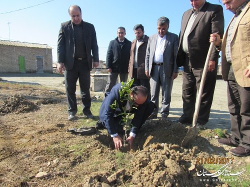 کاشت نهال مثمر در روستاهای شهرستان گمیشان بعنوان پایلوت در استان گلستان