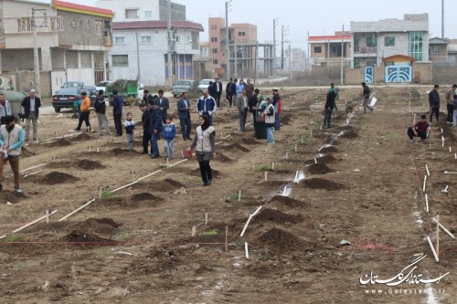 آئین درختکاری و کاشت نهال در شهرک مخابرات شهر آق قلا