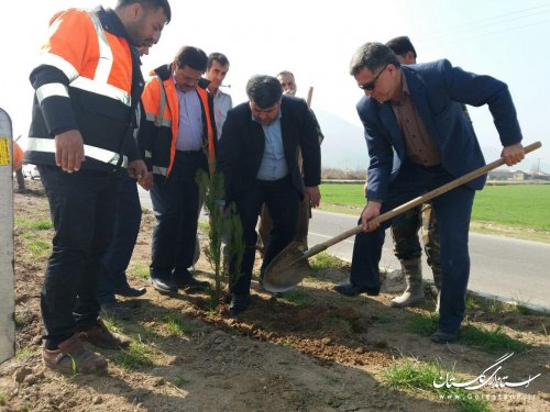 غرس و توزیع بیش از 21 هزار اصله نهال در روز درخت کاری در شهرستان رامیان