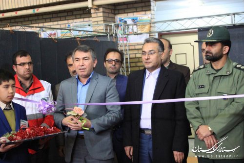 افتتاح نمایشگاه هفته مشاغل در شهرستان آق قلا 