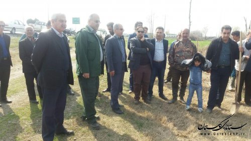 آیین رسمی اجرایی شدن طرح استانی بزرگراه سبز با حضور فرماندارکردکوی