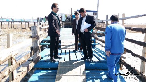 بازدید بازرس ویژه ستاد ساماندهی سواحل استان از شهرستان ترکمن
