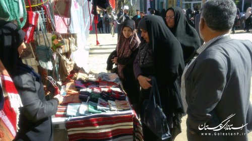 بازدید مدیرکل بانوان گلستان از جشنواره روستایی زیارت گرگان به مناسبت عید نوروز