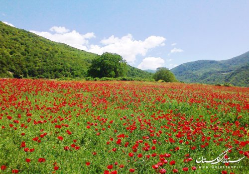 زیبایی های گلستان جاذب مسافران و گردشگران نوروزی