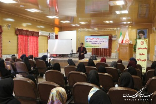 کارگاه آموزشی «مهارتهای زندگی:خلاقیت و نوع آوری»ویژه زنان سرپرست خانوار استان