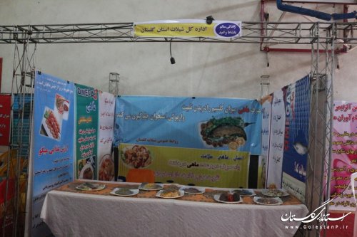 کسب رتبه برتر غرفه شیلات در نمایشگاه دستاوردهای سلامت استان