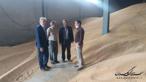 بازدید فرماندار مینودشت از مراکز خرید گندم در شهرستان مینودشت