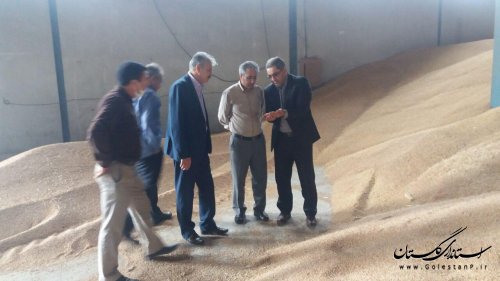 بازدید فرماندار مینودشت از مراکز خرید گندم در شهرستان مینودشت