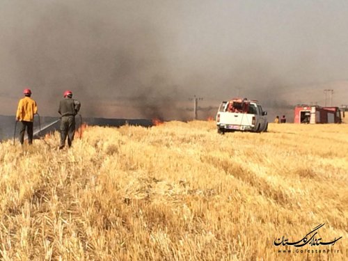 دو مورد آتش زدن زمین کشاورزی در کلاله صورتجلسه شد