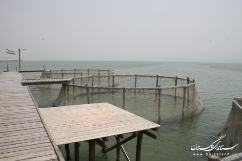 پیگیری اجرای پروژه پرورش ماهی در قفس و پن در آبهای گلستان