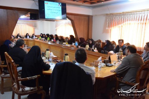 جلسه هم اندیشی شیوه نامه ها و دستورالعمل های آموزشگاههای آزاد فنی وحرفه ای استان گلستان