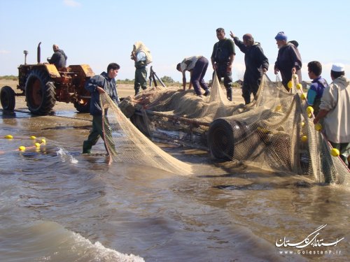 آغاز فصل صید ماهیان استخوانی در سواحل استان گلستان