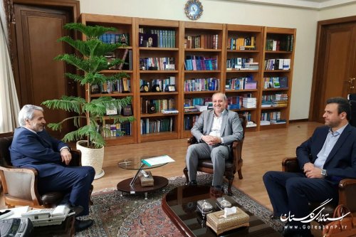 استاندار گلستان با رییس سازمان برنامه و بودجه کشور دیدار کرد