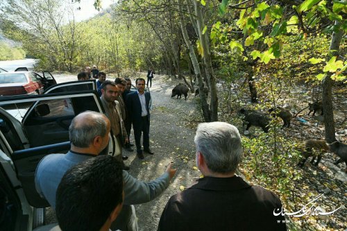 بازدید استاندار از پارک ملی گلستان