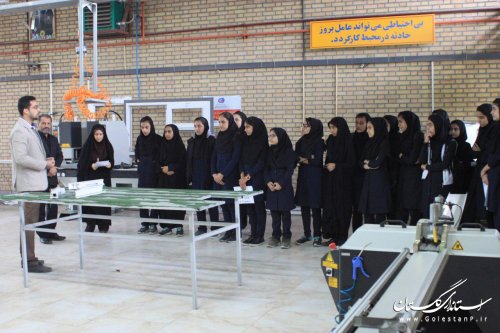 دومین روز از هفته بازدید همگانی مراکز آموزش فنی وحرفه ای استان گلستان
