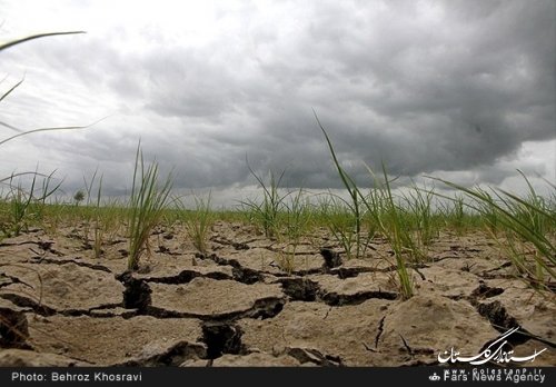 کاهش شدید رواناب رودخانه های گلستان/لزوم کاهش 50 درصدی کشت کشاورزان با آب سطحی