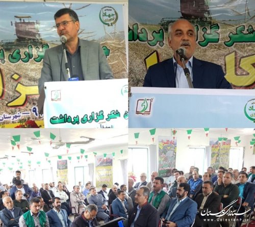 برگزاری جشن شکرگزاری برداشت کلزای استان گلستان