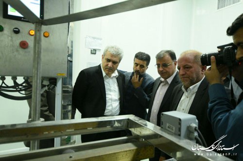 معاون رئیس جمهور از تنها کارخانه تولید کننده ویتامین E در خاورمیانه بازدید کرد