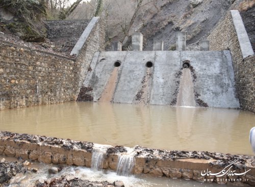 پروژه سنگی ملاتی سرشاخه گیر گرمابدشت اداره کل منابع طبیعی و آبخیزداری افتتاح شد