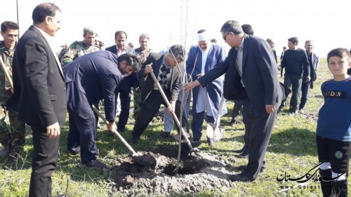 کاشت نهال در اولین پروژه زراعت چوب استان گلستان در روستای آقچلی قرخلر شهرستان آزادشهر