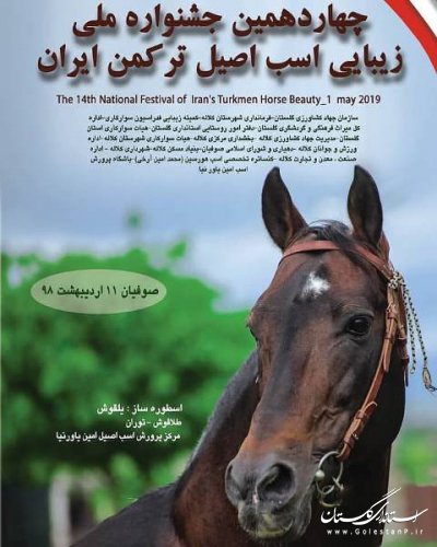 برگزاری چهاردهمین جشنواره ی ملی زیبایی اسب اصیل ترکمن در کلاله