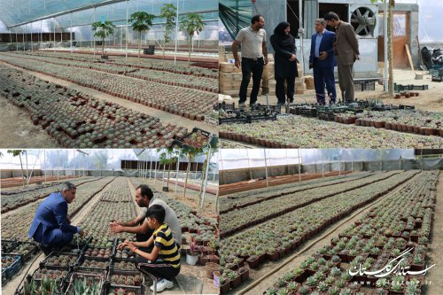 بازدید مدیر صندوق کارآفرینی امید از  واحد پرورش و تولید گلهای زینتی خانواده کاکتوس