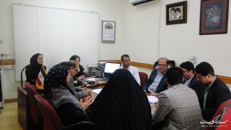 برگزاری کارگروه تخصصی بازسازی مناطق سیل زده در اداره کل میراث فرهنگی گلستان