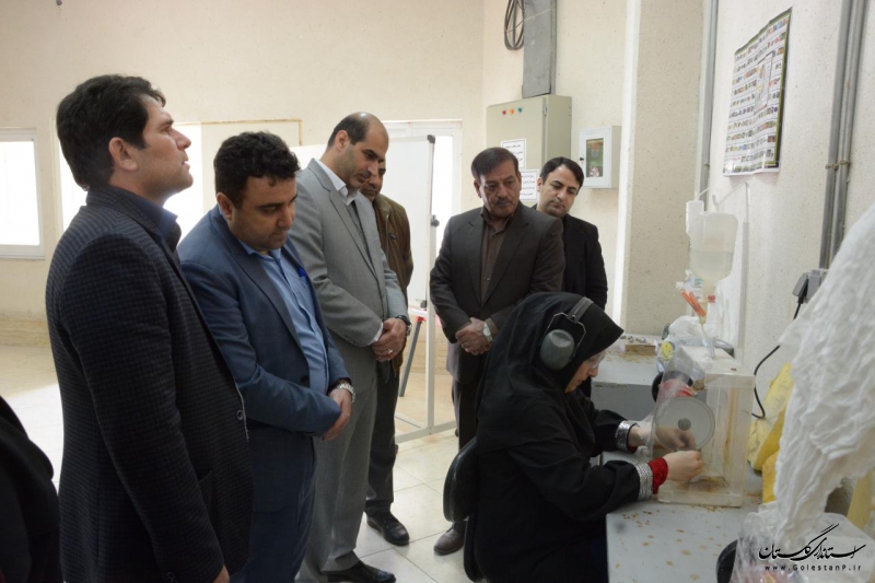 بازدید دستگاه های اجرایی عضو شورای هماهنگی استان از کارگاه های آموزشی مرکز خواهران گرگان