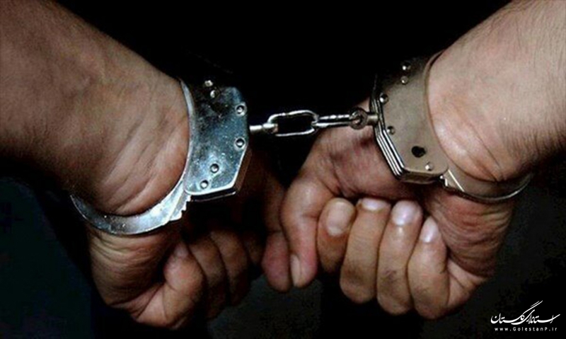 دستگیری حفارغیر مجاز در حین ارتکاب جرم در هزارپیچ گرگان